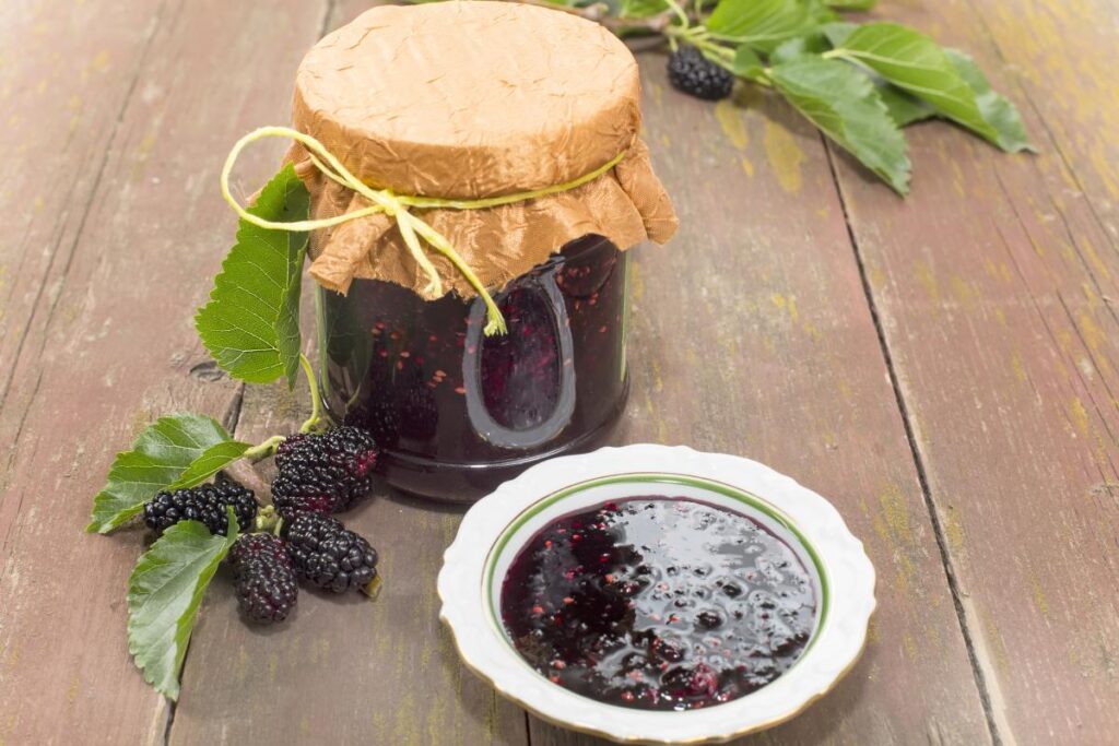 Рецепт варенья из шелковицы белой или черной: как сварить вкусную заготовку на зиму Рецепт варенья из шелковицы белой или черной: как сварить вкусную заготовку на зиму